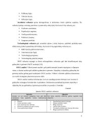 Įmonės strateginis planas 4 puslapis