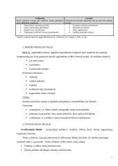 Įmonės strateginis planas 5 puslapis