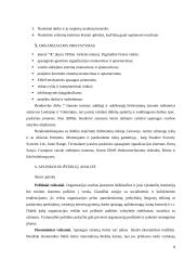 Įmonės strateginis planas 6 puslapis