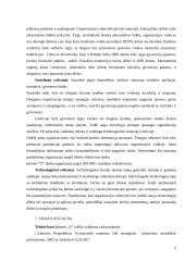 Įmonės strateginis planas 7 puslapis