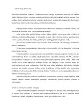Įmonės strateginis veiklos planas: AB "Audimas" 14 puslapis