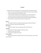 Įmonės strateginis veiklos planas: AB "Audimas" 3 puslapis