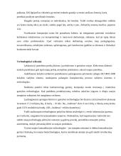 Įmonės strateginis veiklos planas: AB "Audimas" 7 puslapis