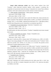 Įmonės ūkinės veiklos analizė: UAB "Visateksas" 16 puslapis