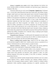 Įmonės ūkinės veiklos analizė: UAB "Visateksas" 7 puslapis