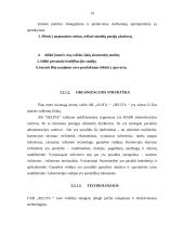 Įmonės vadyba: UAB "Selita" 13 puslapis