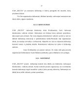 Įmonės vadyba: UAB "Selita" 16 puslapis