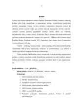 Įmonės vadyba: UAB "Selita" 3 puslapis