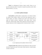 Įmonės vadyba: UAB "Selita" 6 puslapis