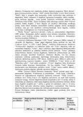 Įmonės veikla: UAB "Lietuva Statoil" 13 puslapis