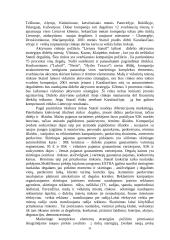 Įmonės veikla: UAB "Lietuva Statoil" 20 puslapis