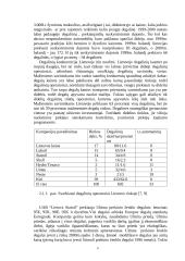 Įmonės veikla: UAB "Lietuva Statoil" 4 puslapis
