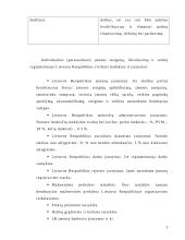 Įmonės veiklos analizė: fotopaslaugos IĮ "Akimirka" 5 puslapis