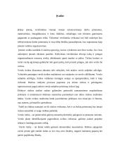 Įmonės verslo rizika ir jos mažinimo galimybės: draudimo įmonė "ERGO" 2 puslapis