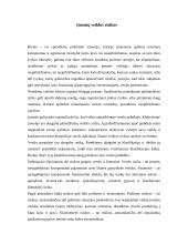 Įmonės verslo rizika ir jos mažinimo galimybės: draudimo įmonė "ERGO" 13 puslapis