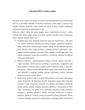 Įmonės verslo rizika ir jos mažinimo galimybės: draudimo įmonė "ERGO" 15 puslapis