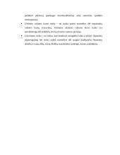 Įmonės verslo rizika ir jos mažinimo galimybės: draudimo įmonė "ERGO" 17 puslapis