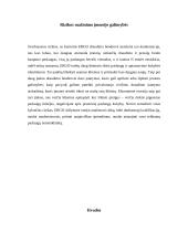 Įmonės verslo rizika ir jos mažinimo galimybės: draudimo įmonė "ERGO" 18 puslapis