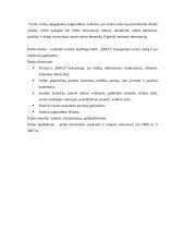 Įmonės verslo rizika ir jos mažinimo galimybės: draudimo įmonė "ERGO" 3 puslapis