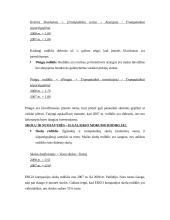 Įmonės verslo rizika ir jos mažinimo galimybės: draudimo įmonė "ERGO" 7 puslapis