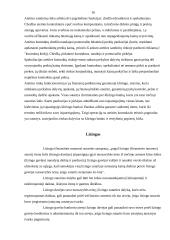 Įmonių akcijos, obligacijos ir kiti vertybiniai popieriai 16 puslapis