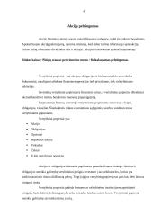 Įmonių akcijos, obligacijos ir kiti vertybiniai popieriai 4 puslapis