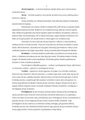 Įmonių akcijos, obligacijos ir kiti vertybiniai popieriai 5 puslapis