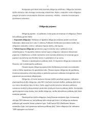 Įmonių akcijos, obligacijos ir kiti vertybiniai popieriai 7 puslapis