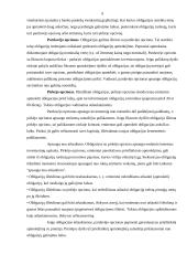 Įmonių akcijos, obligacijos ir kiti vertybiniai popieriai 9 puslapis