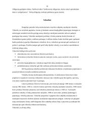 Įmonių akcijos, obligacijos ir kiti vertybiniai popieriai 10 puslapis