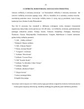 Įmonių asociacijos ir jų veikla Lietuvoje 20 puslapis
