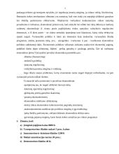 Įmonių ekonomikos pagrindiniai aspektai 2 puslapis