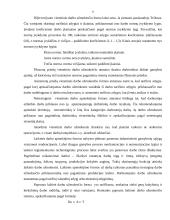 Įmonių ekonomikos pagrindiniai aspektai 7 puslapis