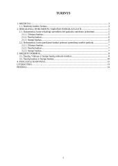 Imoniu kreditavimas. Vilniaus, Šiaulių ir Sampo bankų lyginamoji analizė 2 puslapis