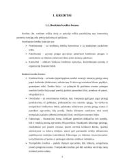 Imoniu kreditavimas. Vilniaus, Šiaulių ir Sampo bankų lyginamoji analizė 3 puslapis