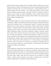 Įmonių organizacinės formos skirtingose šalyse 12 puslapis