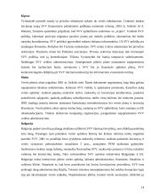 Įmonių organizacinės formos skirtingose šalyse 13 puslapis