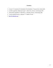 Įmonių organizacinės formos skirtingose šalyse 16 puslapis