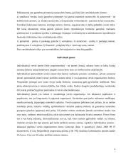 Įmonių organizacinės formos skirtingose šalyse 3 puslapis