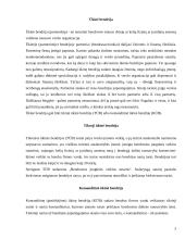 Įmonių organizacinės formos skirtingose šalyse 4 puslapis