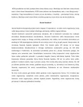 Įmonių organizacinės formos skirtingose šalyse 5 puslapis