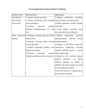 Įmonių organizacinės formos skirtingose šalyse 6 puslapis