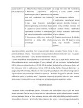 Įmonių organizacinės formos skirtingose šalyse 7 puslapis