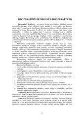 Įmonių rūšys Lietuvoje. Įmonės tikslai 12 puslapis