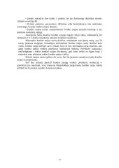 Įmonių rūšys Lietuvoje. Įmonės tikslai 17 puslapis