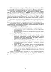 Įmonių rūšys Lietuvoje. Įmonės tikslai 19 puslapis