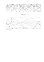 Įmonių valdymo funkcijos 11 puslapis