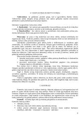 Įmonių valdymo funkcijos 8 puslapis