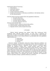 Įmonių valdymo funkcijos 9 puslapis