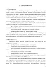 Individualios įmonės verslo planas: šventinė patalpų puošyba ir dekoravimas, prekyba gėlėmis "Gėlių paradas" 19 puslapis
